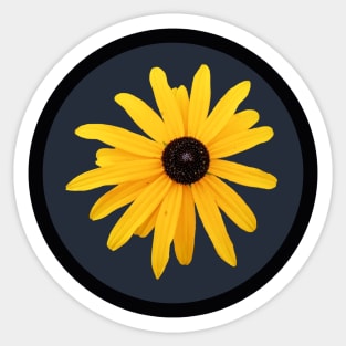 Black Eyed Susan Yellow Daisy Flower Circle Frame Sticker